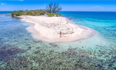 The CAYS